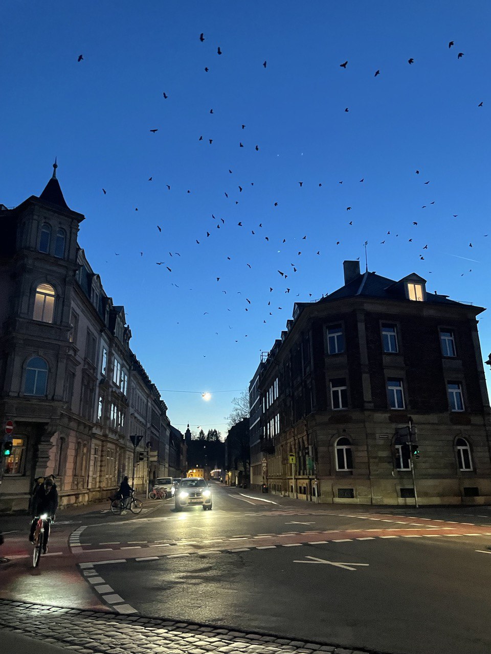 A large swarm of birds over Markusplatz